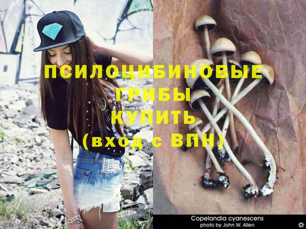 ГАЛЛЮЦИНОГЕННЫЕ ГРИБЫ Бутурлиновка