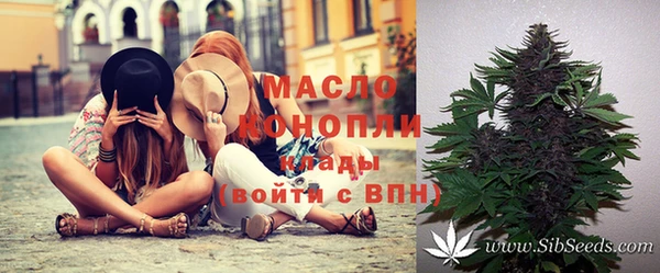шишки Корсаков