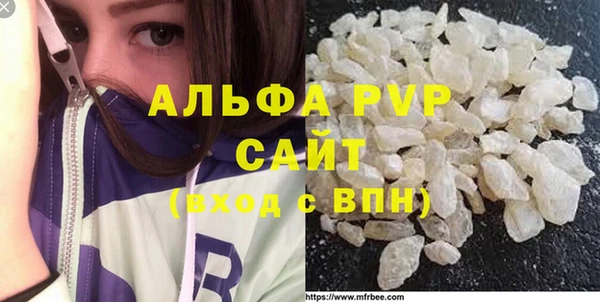 шишки Корсаков