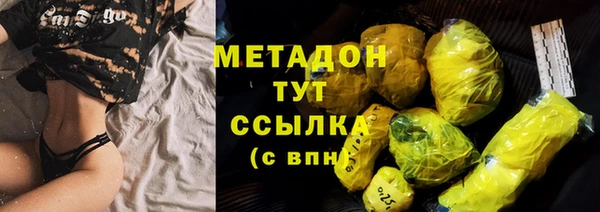 шишки Корсаков