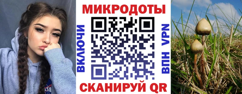 цены   Котельники  Псилоцибиновые грибы ЛСД 